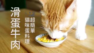 貓咪蛋料理系列，通通滑進貓肚子裡的滑蛋牛肉【貓副食食譜】好味貓廚房EP37
