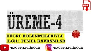 80 - ÜREME - 4 - HÜCRE BÖLÜNMESİ İLE İLGİLİ TEMEL KAVRAMLAR | TYT | 10. Sınıf | #hacettepelihoca