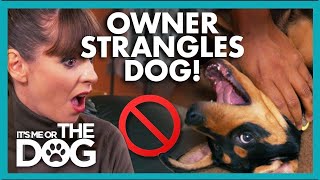 Owner Strangles Puppy and Turns him Aggressive😬 |  It's Me or The Dog