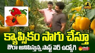 Capsicum Cultivation : Success Story of Software Employee Capsicum Cultivation | Sakshi TV Sagubadi