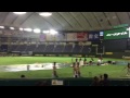 2015 09 14 オール三菱lionsチアリーダーハーフタイムショー@東京ドーム