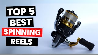 Top 5: Best Spinning Reels (2024)