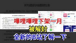 嗶哩嗶哩下架一月被解封，全新的B站了解一下，[每日財經]