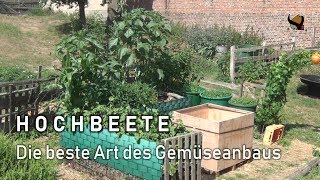 Hochbeete | Die beste Art des Gemüseanbaus