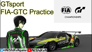 【GTsport】FIA Practice 合同練習 05/31 ネイションズカップ模擬