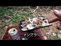 【初心者ソロキャンプ】 3 石垣島　伊野田キャンプ場