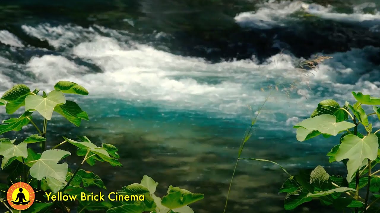 15 Minute Meditation Relaxing Music For Stress Relief And Anxiety