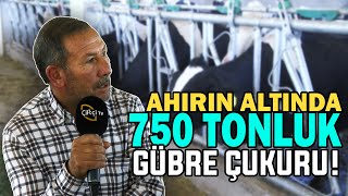 Ahırın Altında 750 TONLUK GÜBRE ÇUKURU! / Almanya’dan 97 İnek Aldım Yeni İşletme Kurdum