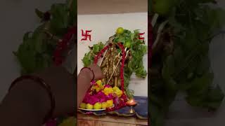 bhadrakali pooja