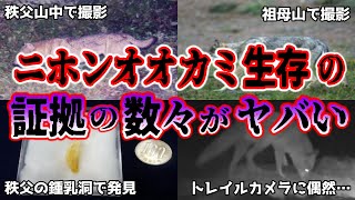 【ゆっくり解説】絶滅は嘘だった! ?ニホンオオカミの生存説とその恐るべき証拠について