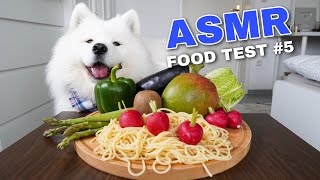 Dog Reviews Different Types of Food | Maya Monch Mission #5