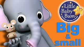 Big and Small Song | Nursery Rhymes | Original Song by LittleBabyBum!