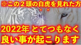 ※最高の１年にしたい方、目に入ったら必ずご覧下さい..【神様の使いと言われるこの白虎を見て願うと、次々と願いが叶うと言われている奇跡の動画】ご縁があると幸運をもたらす白虎。願望実現　恋愛成就　金運上昇