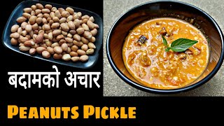 मुखै रसाउने बदामको पिरो अचार…🥜🥜 || Peanuts Pickle Recipe || Badam ko Achar | Amar Panchhi Food World