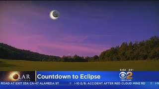 Animals Expected To React To Solar Eclipse