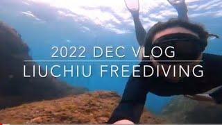 [VLOG] Taiwan Liuchiu Freediving | Travel 小琉球|自由潛水|旅遊|美食|三天兩夜