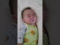 쌍둥이 8개월 맘마 먹을 시간이예요 아기 귀여운아기 기상 쌍둥이