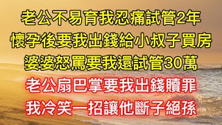 老公不易育我忍痛試管2年，懷孕後要我出錢給小叔子買房，婆婆怒罵要我還試管30萬，老公扇巴掌要我出錢贖罪，我冷笑一招讓他斷子絕孫