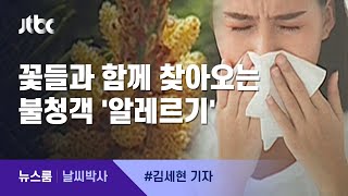 [날씨박사] 꽃들과 함께 찾아오는 불청객 '알레르기' / JTBC 뉴스룸