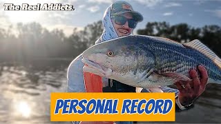 Personal Best Redfish At Fort De Soto