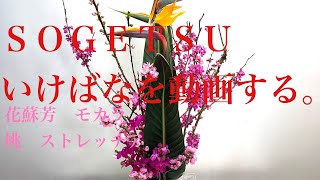 花蘇芳と桃と。sogetsu ikebana arrangement No.219