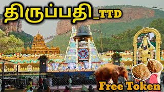 திருப்பதி ஸ்ரீ வெங்கடேஸ்வர சுவாமி தரிசனம் With Free லட்டு, Free SSD Token | Tirupati Balaji Temple⛰️