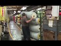 How to Harvesting Wool - Amazing Sheep Factory - Wool Processing Mill - Modern Sheep Shearing