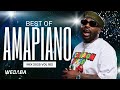 BEST OF AMAPIANO MIX 2025 | DJ WEBABA