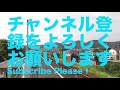 マンガか映画に出てきそう 見上げる『戸綿駅』：『天浜線駅を自転車でめぐる』その19