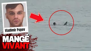 La Terrifiante Attaque Du Requin Sur Le Touriste Vladimir Popov En Egypte