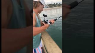 Big Barracuda Smokes Bait!!! #fishing