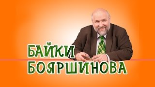 Технари и гуманитарии. Миф о гуманитарном и техническом складе ума