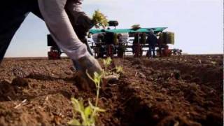 Breaking Down Barriers - Models for Building Healthier Communities (3:55 Version)