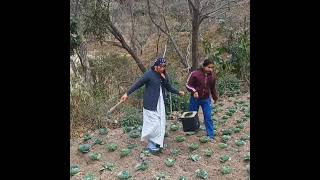 सनुली की नातिनि को बन्दर आया काटने😁😁