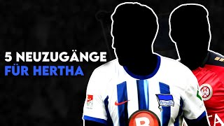 Hertha BSC: 5 Transfers für Herthas Aufstieg in die Bundesliga!