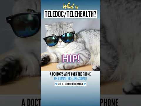 What is TélédocTélésanté? | Cats explain health insurance