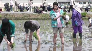 【青森の魅力】田んぼアートの田植え体験ができるらしい