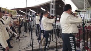 Aires del mayab - Mariachi Vargas de Tecalitlán 05 de febrero   2017 Lienzo Charro Hermanos Ramírez