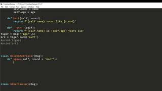 Beginner Python Object Oriented Programming Dog Class Part 2