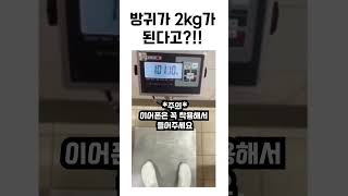 방귀 잘 끼면 몸무게가 줄어든다?! #shorts