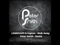 Walk Away - LVNDSCAPE ft. Kaptan (Peter Smith Remix)