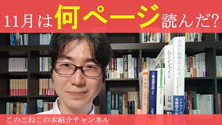 2024年11月に読んだページ数の多い本ベスト3を紹介