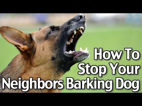 How to Stop Your Neighbors' Dog from Barking How to Stop Your Neighbors' Dog from Barking