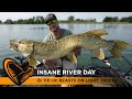 2x 110CM BEASTS on Light Tackle - insane River Day