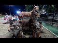 travel ep 29 travel along the mekong nakhon phanom day u0026 night thailand