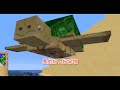 【媛媛】minecraft：媛味生存♥ep42.大肆搜刮！海洋探險趣之海底祭壇♥