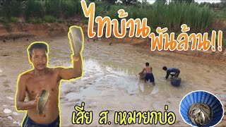 ไทบ้านพันล้าน!! กับอาชีพเลี้ยงปลาส่งออกขาย