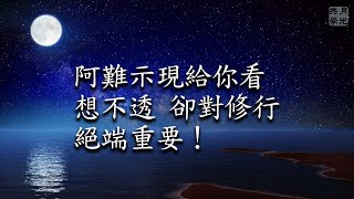 阿難示現給你看—想不透，卻對修行絕端重要！福智－真如老師講述《廣海明月》第446講．如俊法師導讀