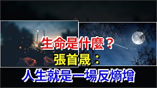 生命是什麼？張首晟：人生就是一場反熵增，[科學探索]