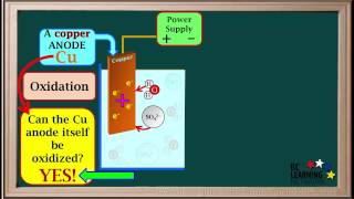 WCLN - Electrolytic Cells Type 3 - Introduction